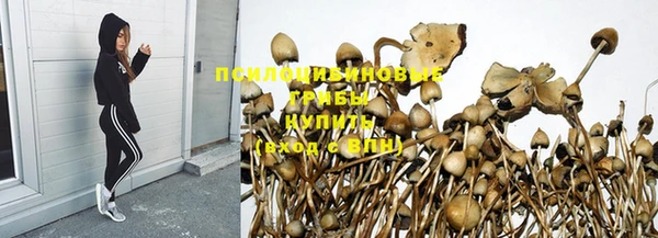 синтетический гашиш Богородицк