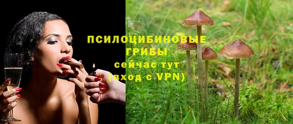 амф Богданович